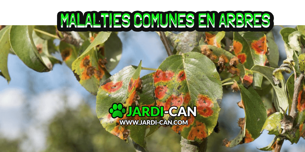 Malalties Arbres Sitges Ribes Garraf