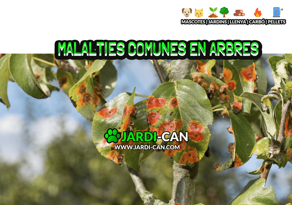 Malalties Arbres Sitges Ribes Garraf