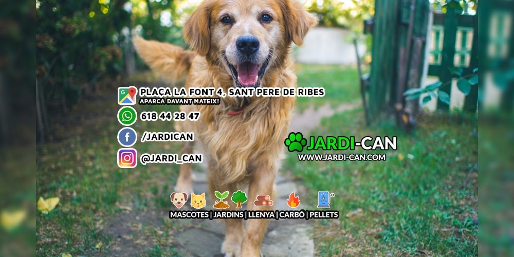 Tienda Animales Sitges Ribes Vilanova