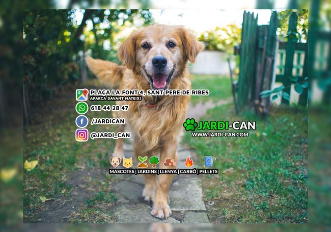 Tienda Animales Sitges Ribes Vilanova