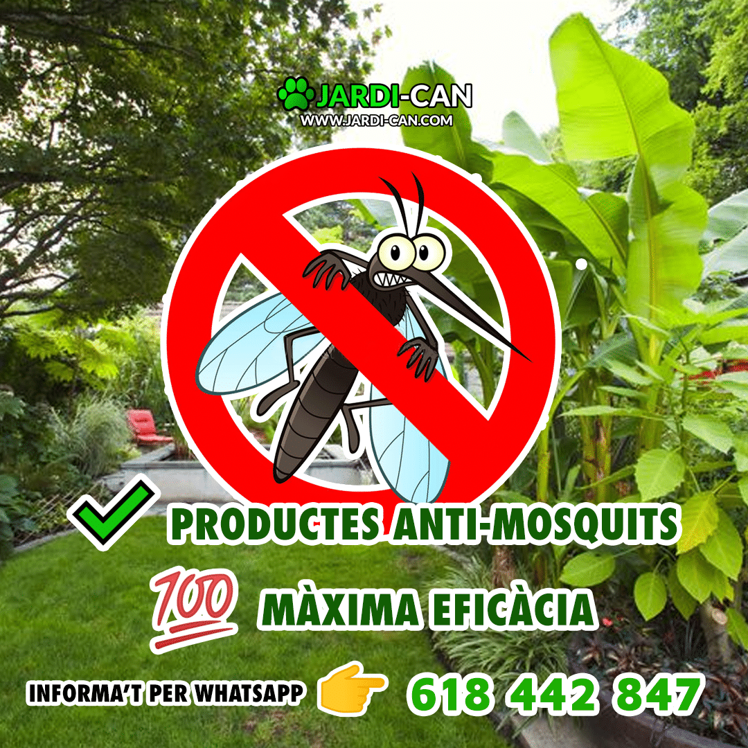 Anti Mosquitos Control de Plagas Sitges Garraf