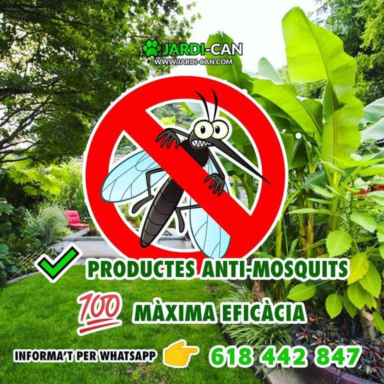 Ants Killer Insecticide Sitges